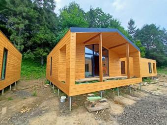 Барн Хаус 49 м кв 4