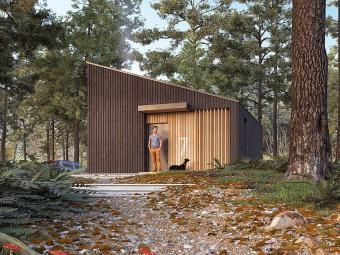 Гостьовий будинок 50 м кв 4